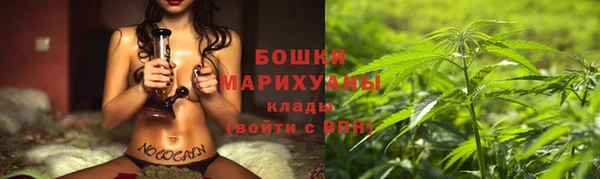 гидропоника Янаул