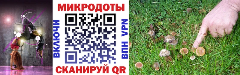 Купить  Сясьстрой  Галлюциногенные грибы прущие грибы 